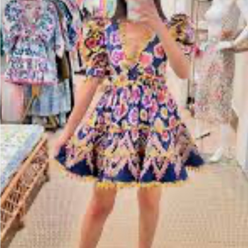 Celiab Hayley Puff Sleeve Dress